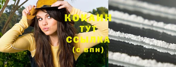 прущие грибы Аркадак