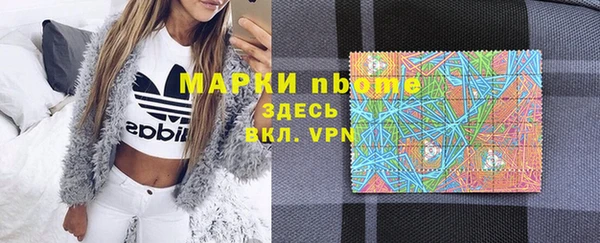 прущие грибы Аркадак