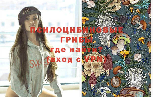 a pvp Армянск