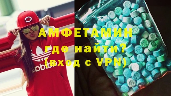 прущие грибы Аркадак