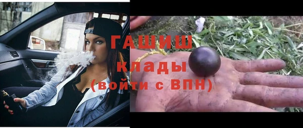 прущие грибы Аркадак